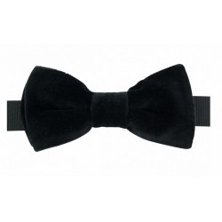 Nœud Papillon pré-noué